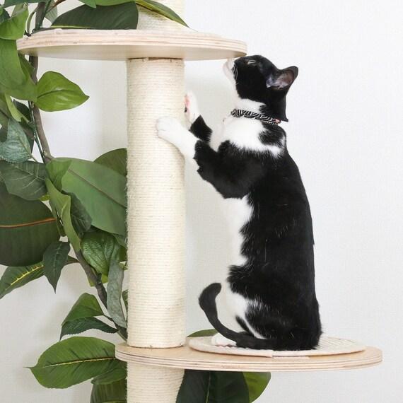 出所：ニトリ公式通販ニトリネット 癒しのキャットタワー　突っ張り型（ソラ）