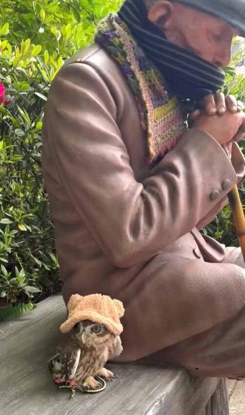 出所：@cr8673.hiro