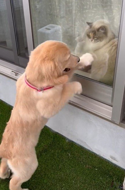 出所：@pu_channeldesu