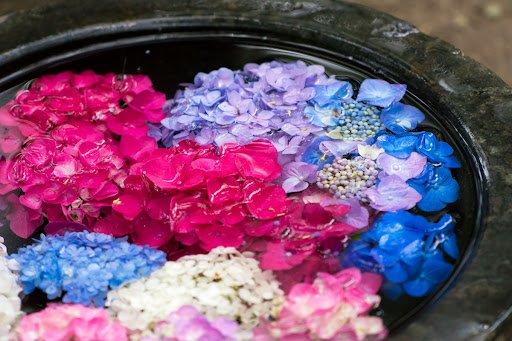 Gemini Create/shutterstock.com