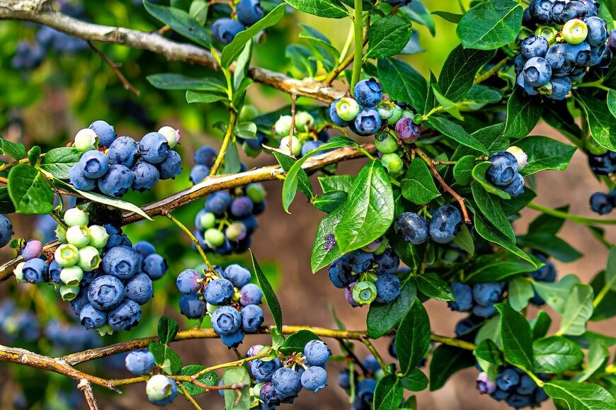 ablokhin/istockphoto.com