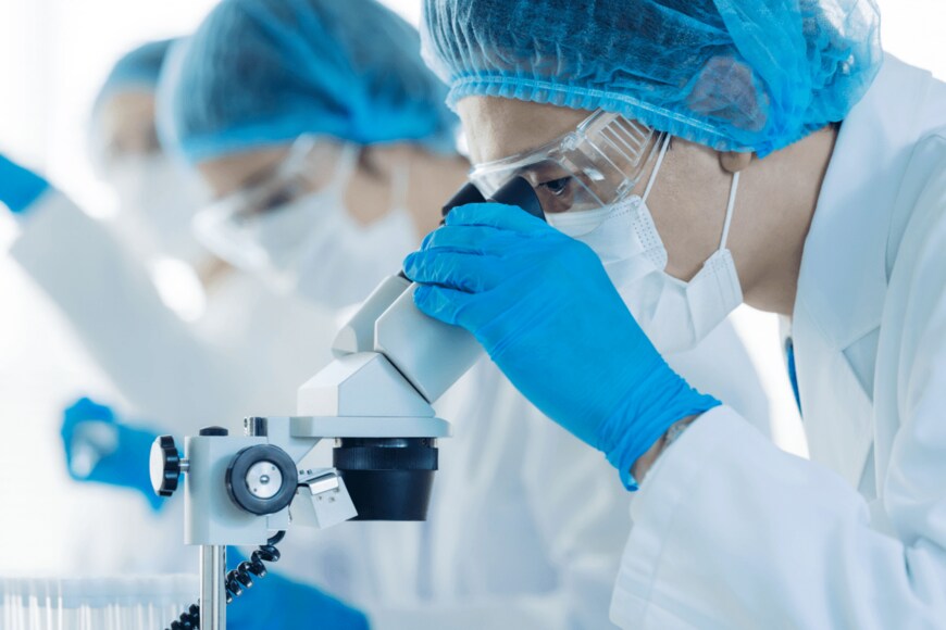 metamorworks/shutterstock.com