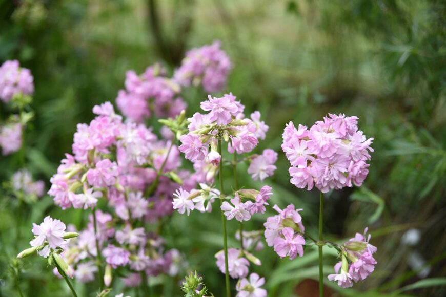 photoPOU/shutterstock.com