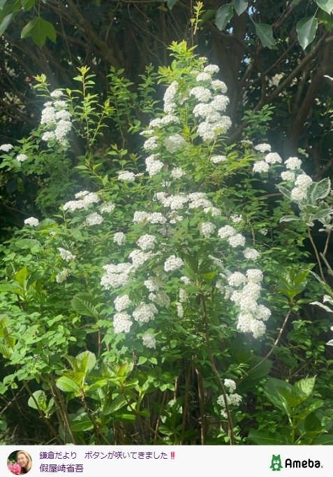 出所：假屋崎省吾の公式ブログ　参照日：2026年4月16日