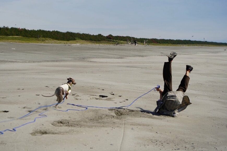 出所：@IGGY_PUTTO