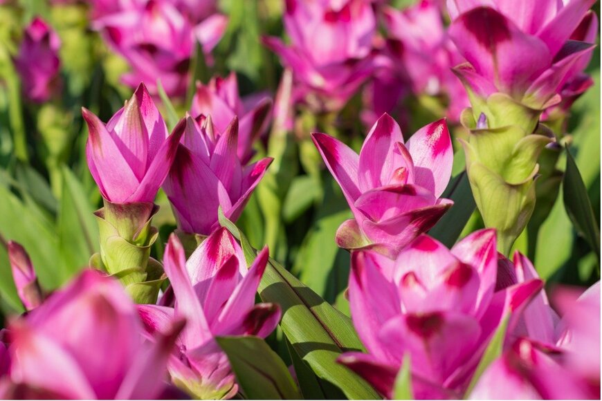 Damian Pawlos/istockphoto.com