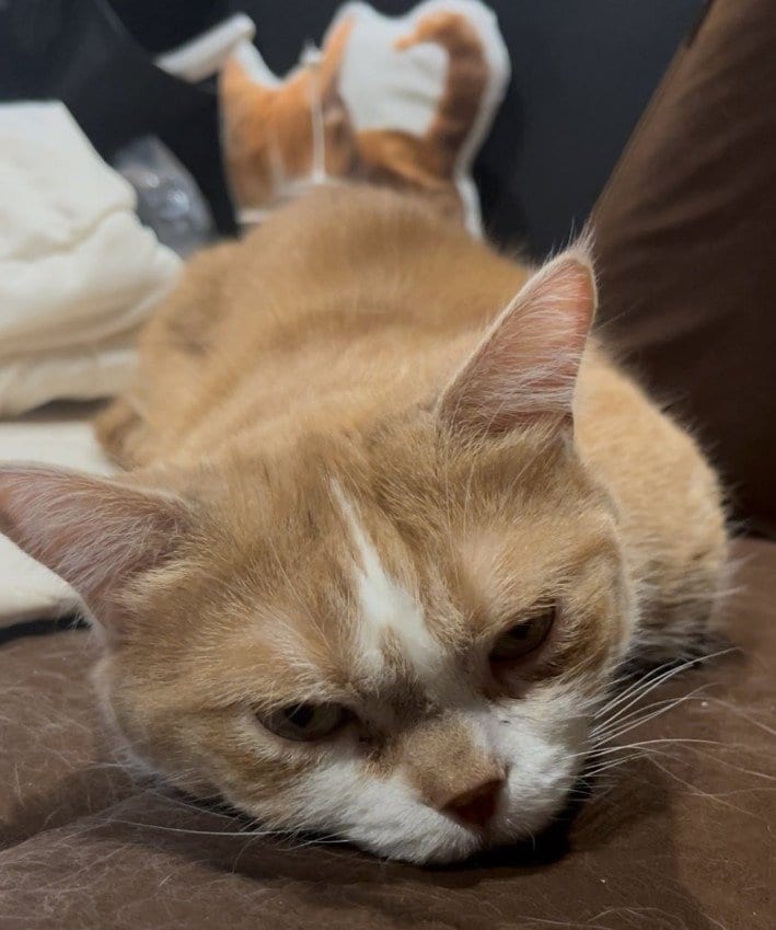 出所：@kotaro_0315