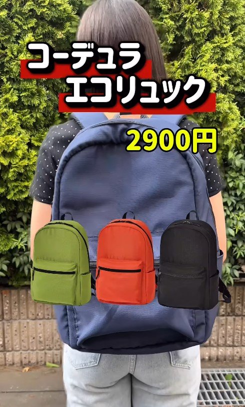 出所：ワークマン公式　コーデュラ(R)エコリュック