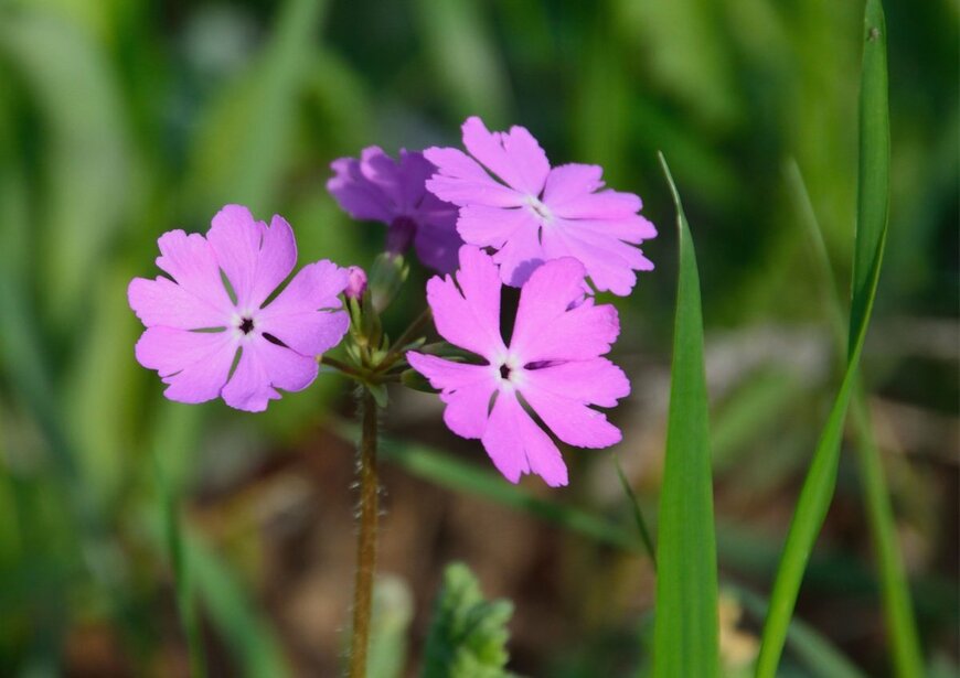 High Mountain/shutterstock.com