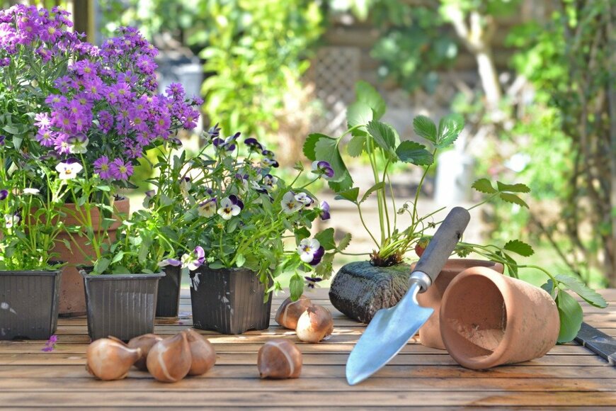 sanddebeautheil/istockphoto.com