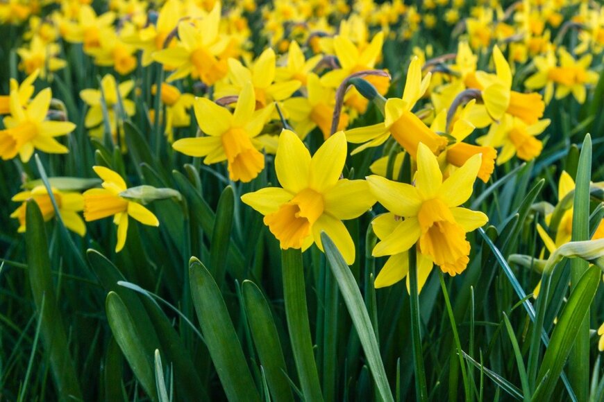 PatrikStedrak/istockphoto.com