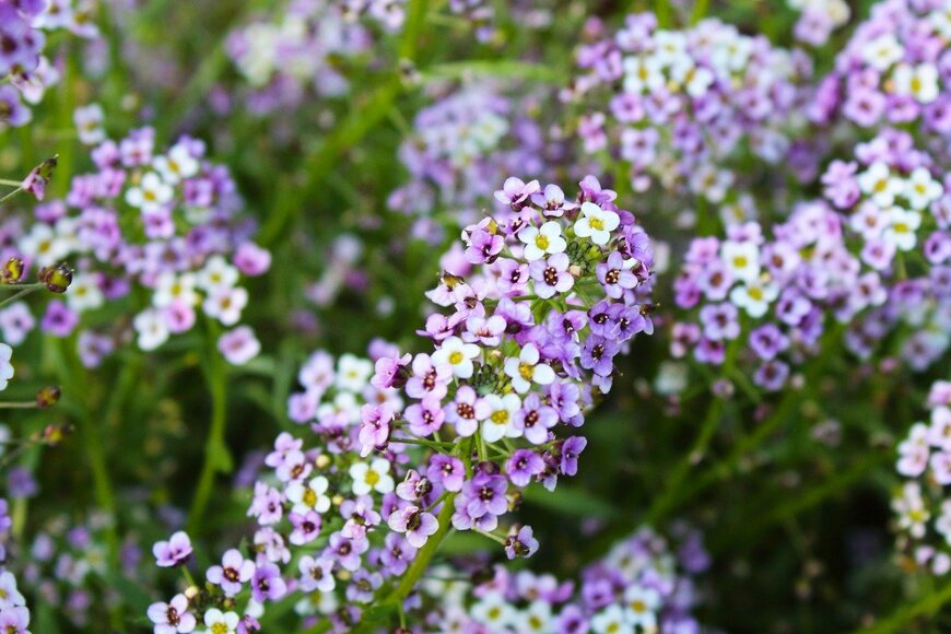 Far700/istockphoto.com