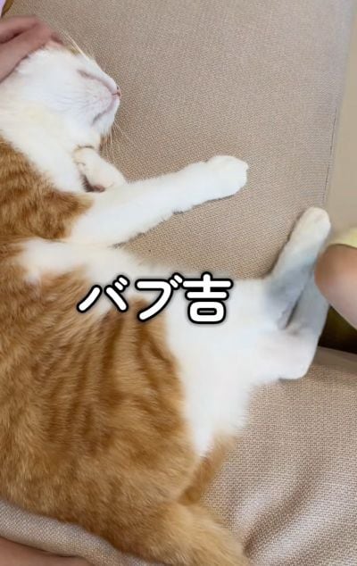 出所:@miko_nekoneko
