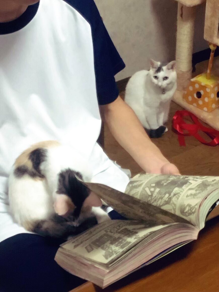 出所：@KBexVM8Idn6ae5N