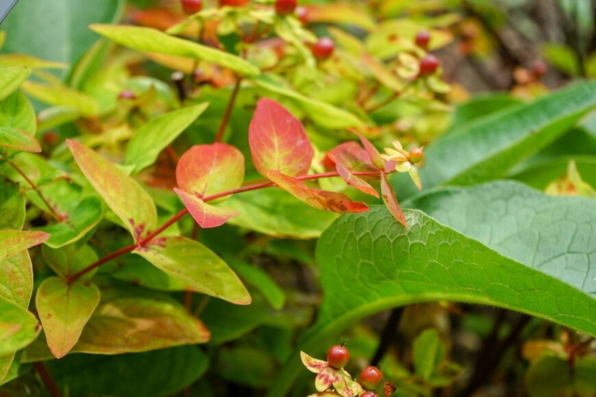 DESIGNOSAURUS/istockphoto.com