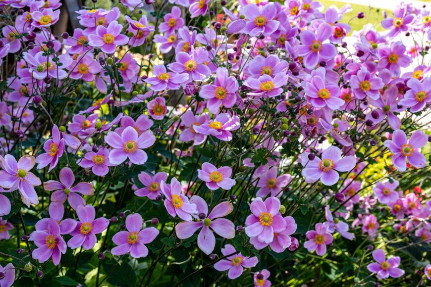 Billy_Fam/istockphoto.com