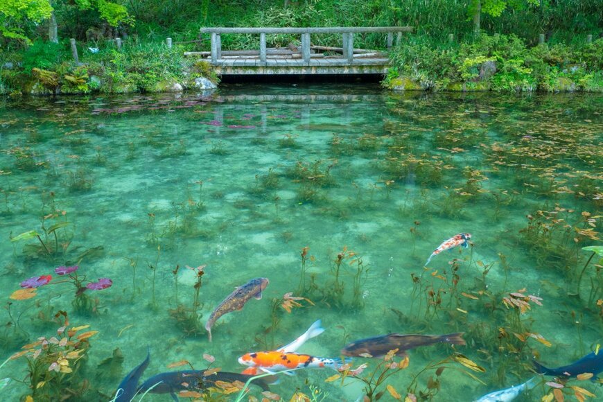 hide423/shutterstock.com