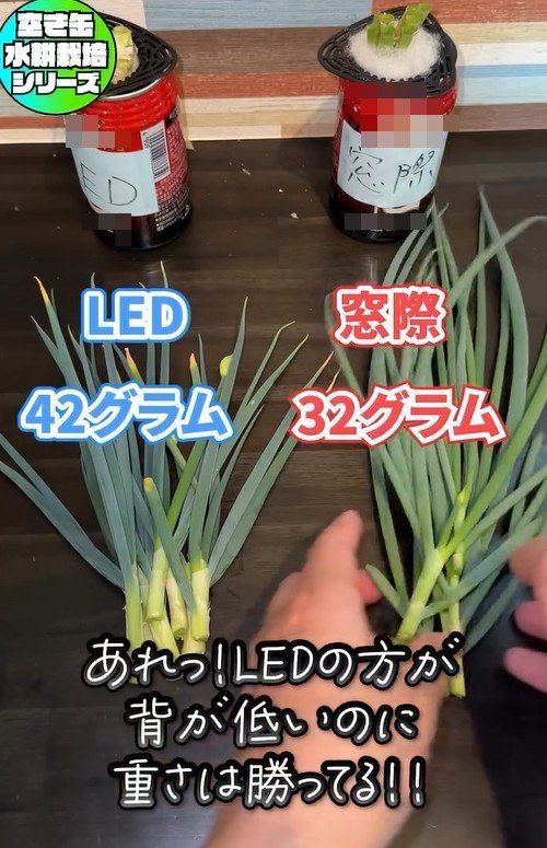 出所：mikanbo_ya19_87