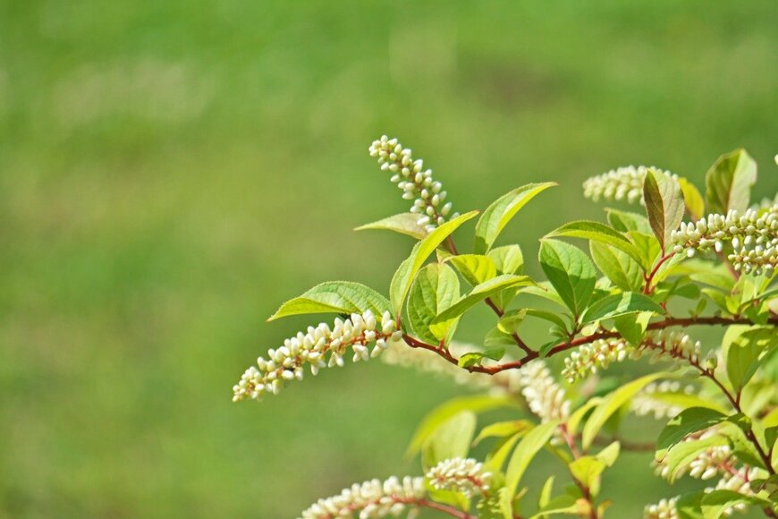 igaguri_1/istockphoto.com