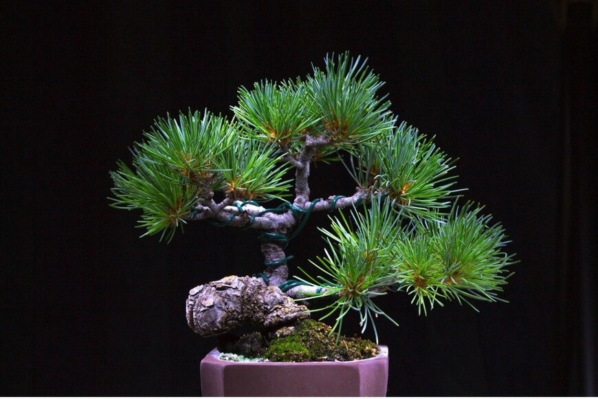 TETU/istockphoto.com