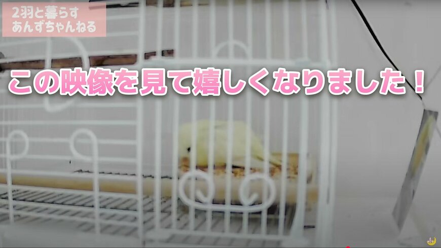 出所：@anz_omomiri