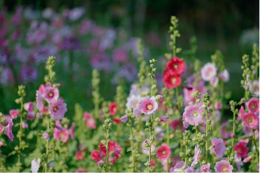 Sorajack/istockphoto.com