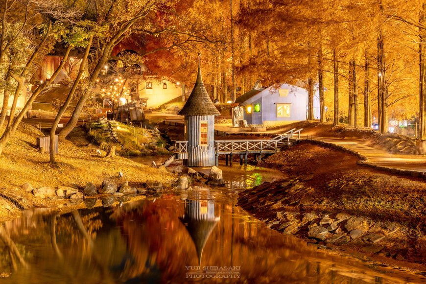 ムーミン谷・秋の写真