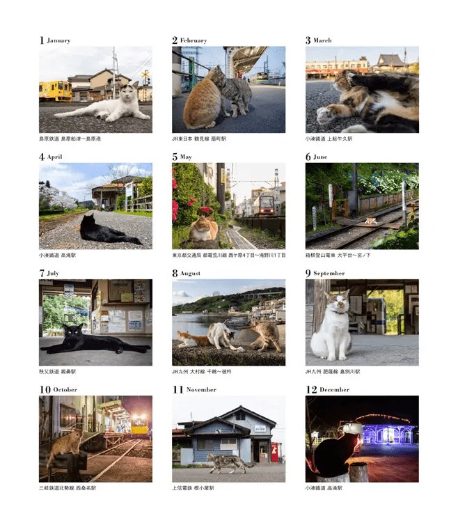 ねこと鉄道（イカロスカレンダー2025）