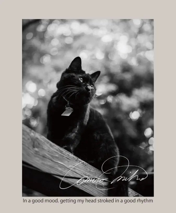 イオン株式会社公式 【コムロミホ】 黒猫プリントTシャツ レディス