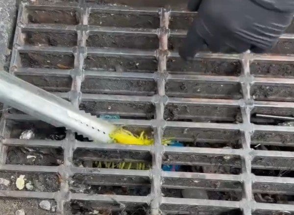 黄色くて光る物体を発見&hellip;
