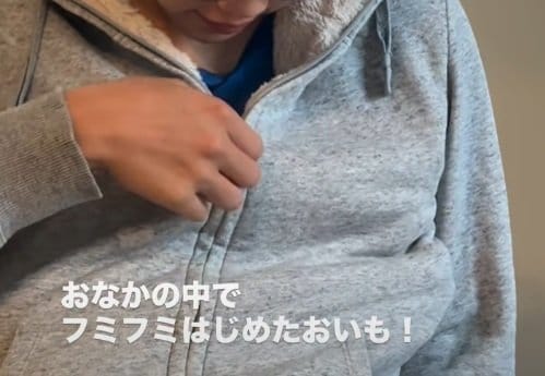 パーカーの中に潜り込んで甘える元保護猫
