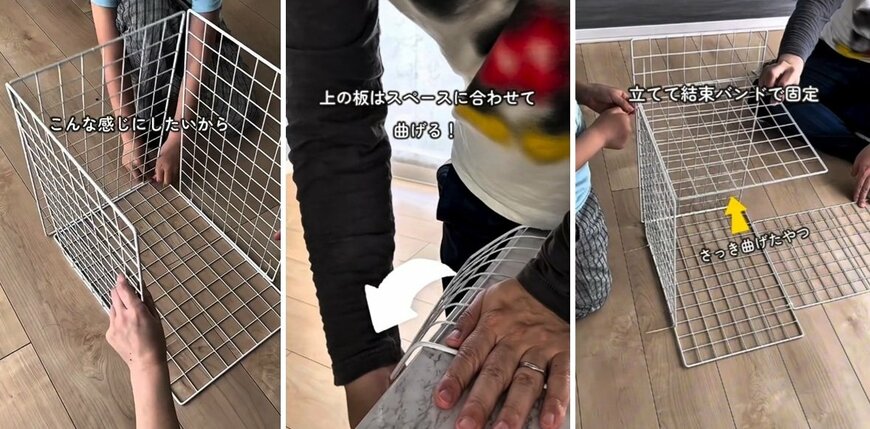 投稿の画像