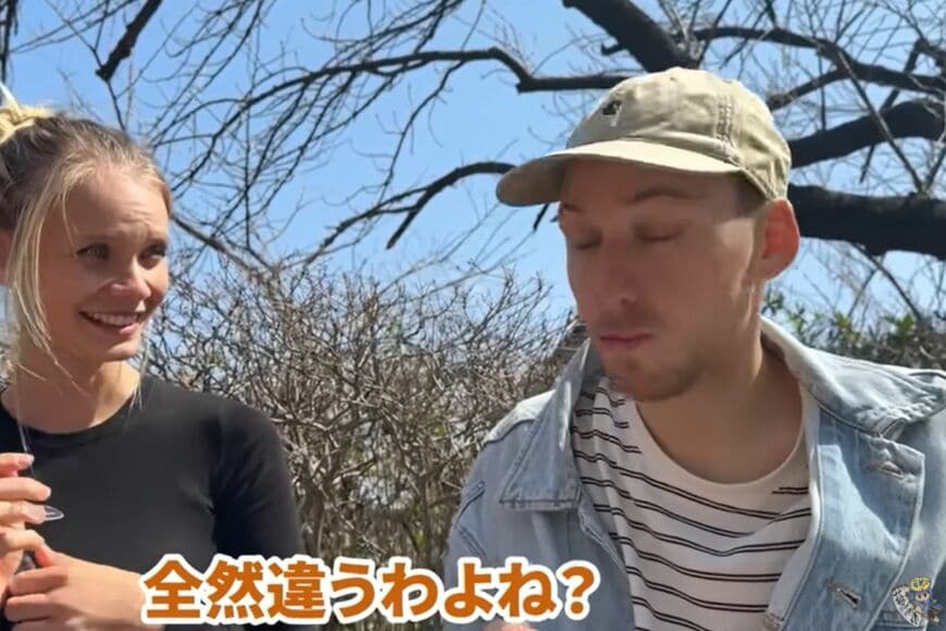 投稿動画のワンシーン