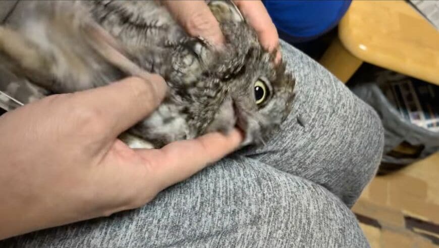 投稿動画のワンシーン