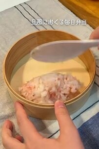 「スイカごはん美味しそう」！？…… 旦那さんに妻がつくった〈夏らしさ満点〉のお弁当が話題です！