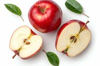 2025年10月の年金支給時まで「改正前の所得税額」で源泉徴収【厚生年金と国民年金の早見表】60歳代・70歳代・80歳代の平均月額はいくらか