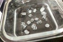 小さな種から「結晶」を育て続けて約5ヶ月　規格外の大きさへと成長した姿に目を疑う