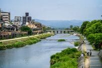 京都・鴨川で「ウナギ？」を発見　「増水後に発見した生物」に二度見してしまう