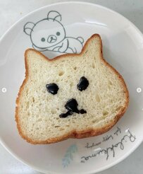  【衝撃】「猫が柴犬に変身！？」柴犬顔の猫パンの可愛さにSNSユーザーが癒された