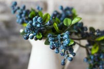 【ガーデニング】初夏のグリーンブーケにも！〈枝もの7選〉でオシャレなインテリアに