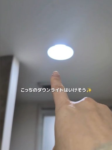 変身前のダウンライト