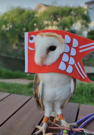 投稿動画のワンシーン