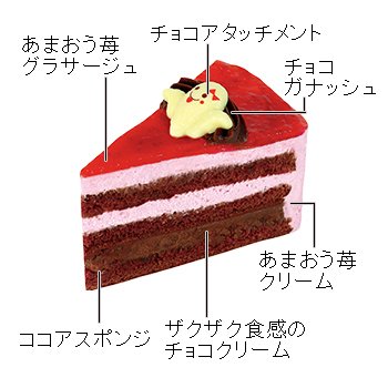 3種のアタッチメントがかわいい「あまおう苺のザクザクチョコケーキ」