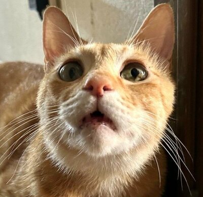 「雪すげ〜な」