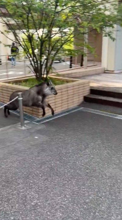 投稿の画像