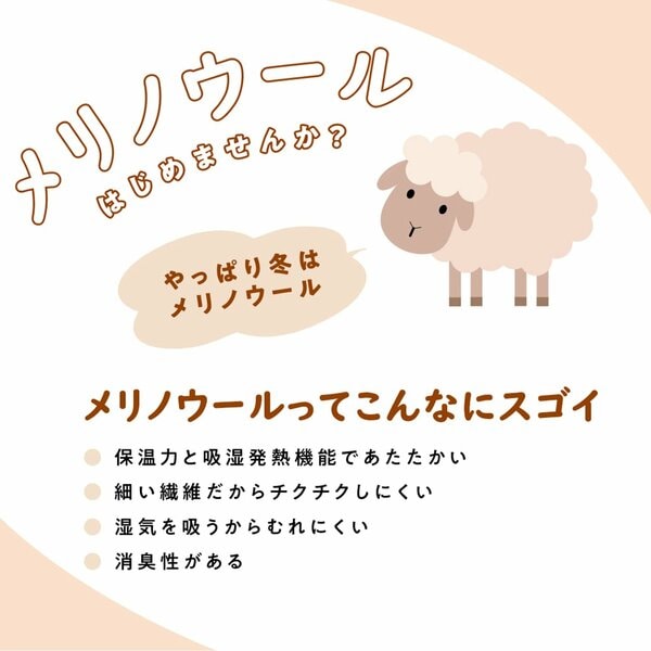 毎年人気の「メリノウール」はこんなにスゴイ！