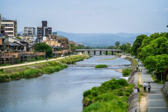 京都・鴨川で「ウナギ？」を発見　「増水後に発見した生物」に注目集まる