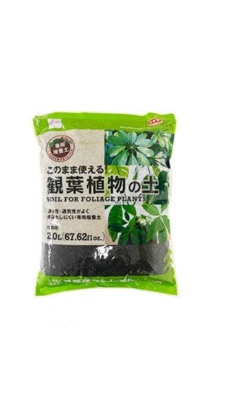 特別な配合が必要ない「観葉植物の土（110円）」