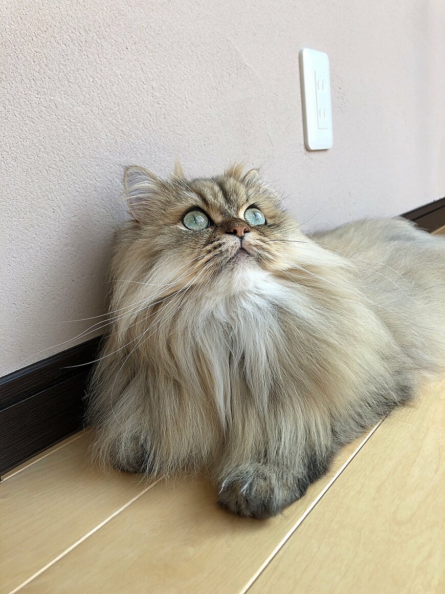 出所：@UphQepCv8J