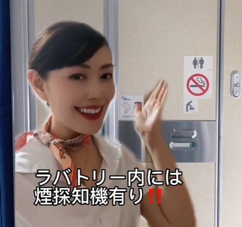 出所：akko_san_dayo「飛行機のラバトリーの秘密を元CAが解説」